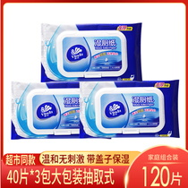 Vida wet toilet paper 40 pieces can flush into the toilet germicidal skin toilet with wet wipes paper private sanitary clear 3 packs of 120 pieces