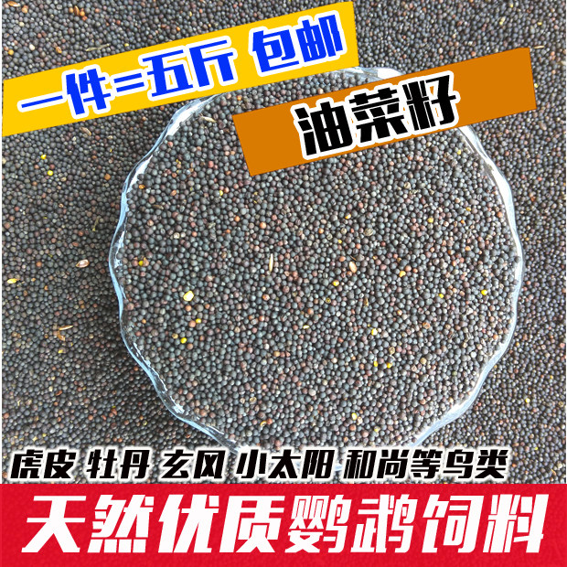 Quality oil rapeseed tiger leather peony parrot hibiscus bird jade bird and bird eat winter to keep birds warm and five catties