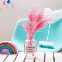 ins Wind pink peacock feather material home furnishings decoration ornaments girl heart cute room accessories new products