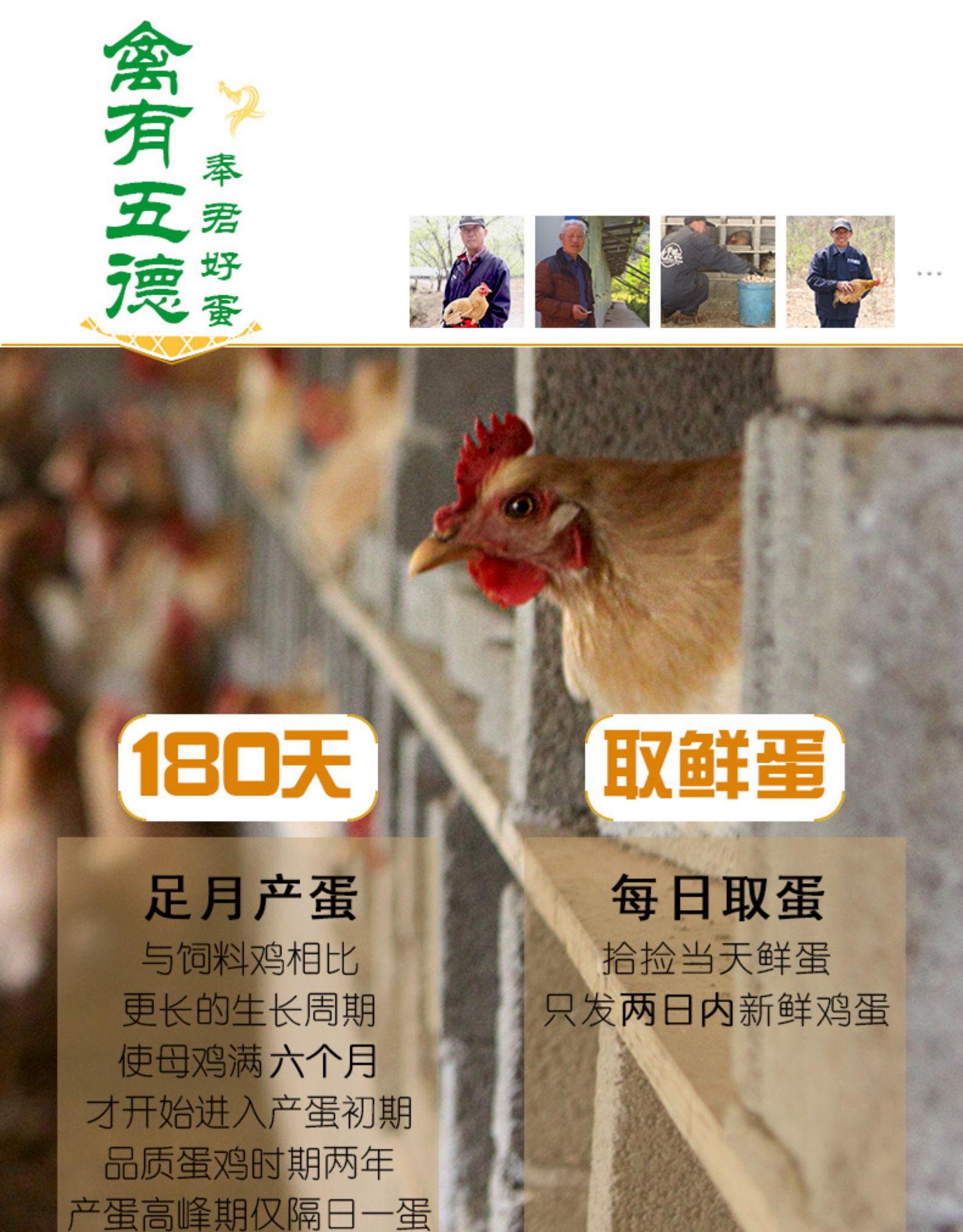 九华粮品 农家散养土鸡蛋 30枚 图6