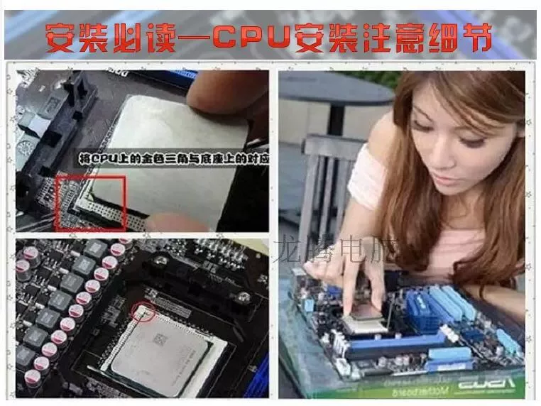 AMD Ryzen 5 5500 X3D 5600 5600X 5600GT R7 5700X 3D 5800X 5950X