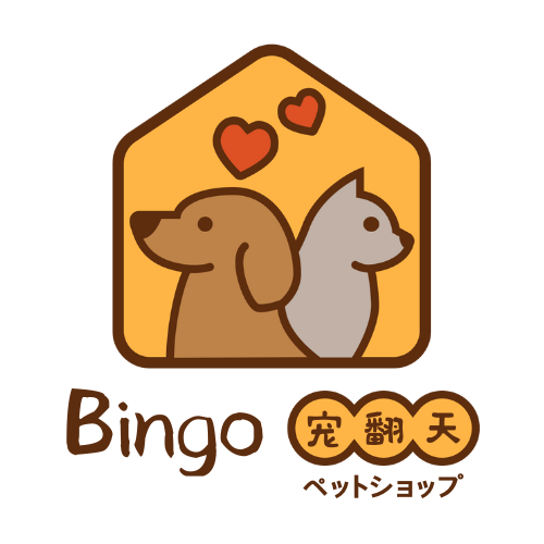 Bingo宠翻天