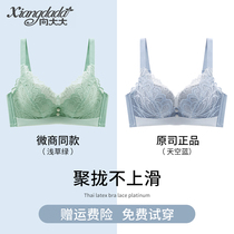 Summer Xiangda underwear official flagship store gathers small breasts comfortable rimless anti-sagging bra set