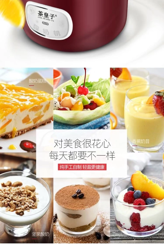 Tea King PA-12A Máy làm sữa chua nhỏ Hoàn toàn tự động Làm tại nhà Mini lên men Cốc thủy tinh đa chức năng - Sản xuất sữa chua