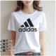 DZ0013/2021 New Product Hot Sale