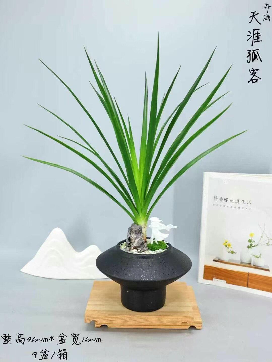 花之恋家居花盆的LOGO