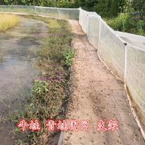 Pole crayfish crab frog escape Net anti-escape rod bracket fence slope protection brick fiber rod plastic pipe aquatic product