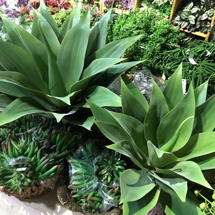 Highly Realistic Artificial Plants: Succulents, Tropical Desert Crown Orchids, Agave Plants, Indoor Scene Display, Window Display, Floor-Standing Ornaments