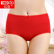 Đầm xòe nữ màu đỏ đích thực nữ 100% cotton 裆 eo thắt lưng quần short cotton năm nay lớn đỏ mới