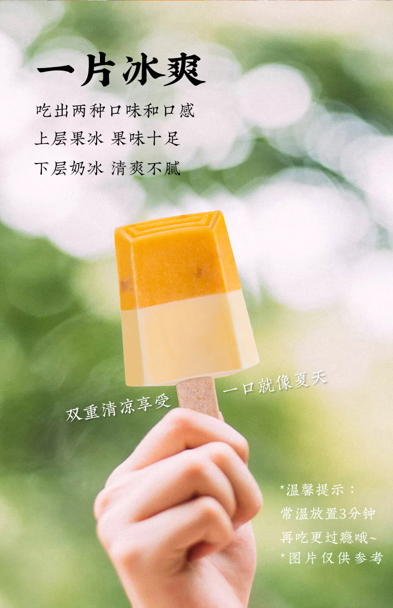 钟薛高 一个都不能少系列 6口味10片 图15