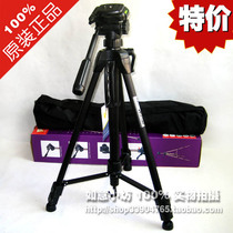 Weifeng WF-3730 Tripod 1 53 m Digital Camera SLR Camera Tripod Camera Bracket