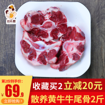 Ran Ma cow tail fresh whole root cut free-range beef raw yellow beef with bone baby ox tail bone 2kg