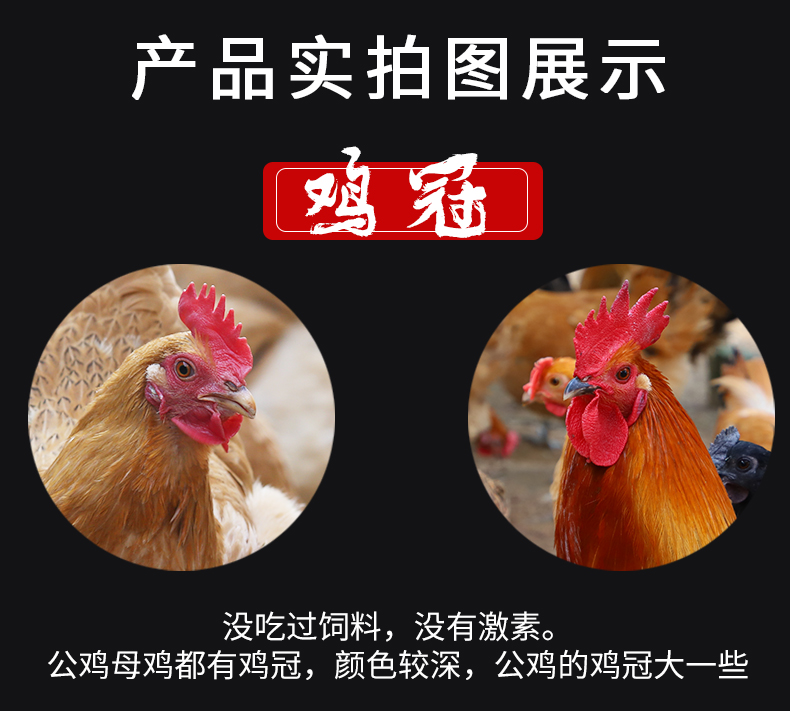 正宗散养农家土鸡 2斤*2只 图6