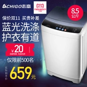 Máy giặt tự động Chigo 8,5kg công suất lớn hộ gia đình bánh xe sóng mini ký túc xá nhỏ 7 ống đơn 6 ưu đãi đặc biệt