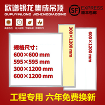 Integrated ceiling 300x600x1200led flat panel light 30x60x120 gypsum mineral wool board Engineering light embedded