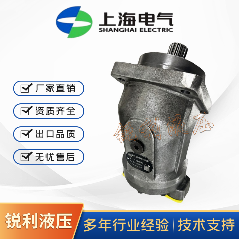 Shanghai Electric A2F63L6.1Pbb5 A2F80R6.1P5 A2F107/6.1Lpbb5 Tilt-Rotating Motor