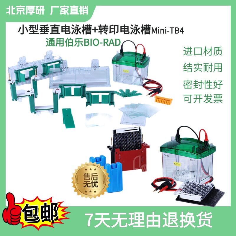 小型垂直电泳槽蛋白槽适配伯乐Mini-ProteanTetra1658001转印电泳