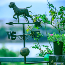 European style retro iron Vane wind indicator Windmill garden wall roof decoration cute cat cool dog courtyard time