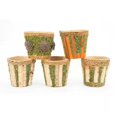 Garden time pastoral style decoration handmade Moss small flowerpots, fleshy pots, miniature plant pots, 5