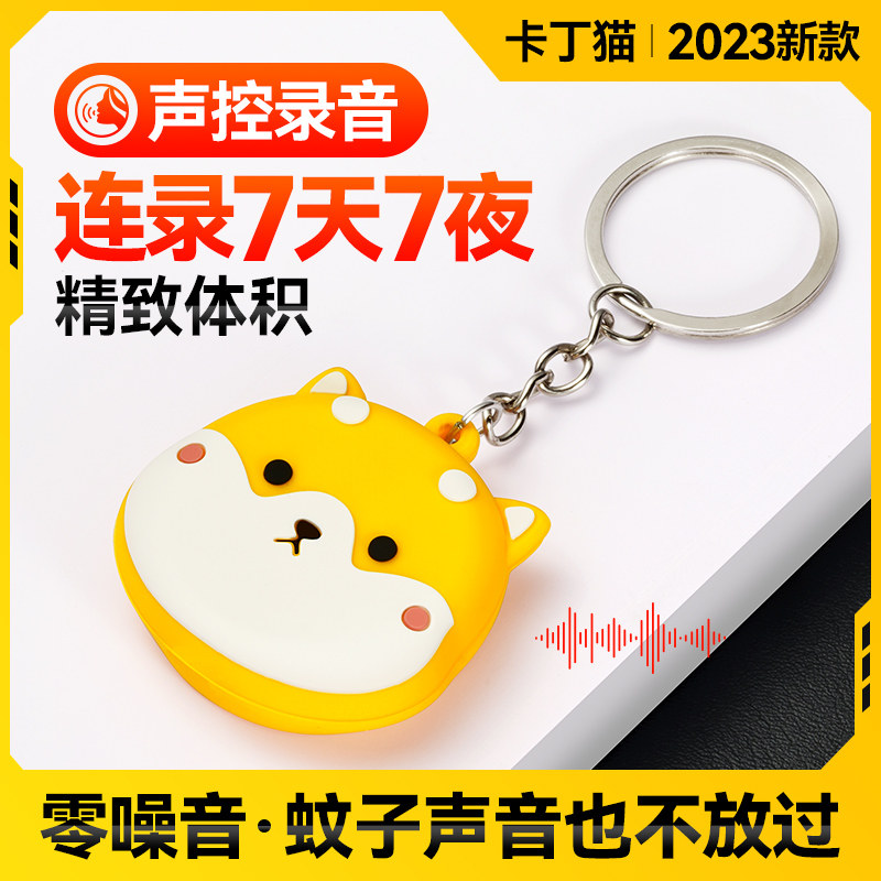 Recording Pen Carry-on Recorder PROFESSIONAL HIGH-DEFINITION NOISE REDUCTION RECORDING SOUND RECORDER DEVICE TURN WORDS EXTRA-LONG STANDBY PORTABLE p3-Taobao