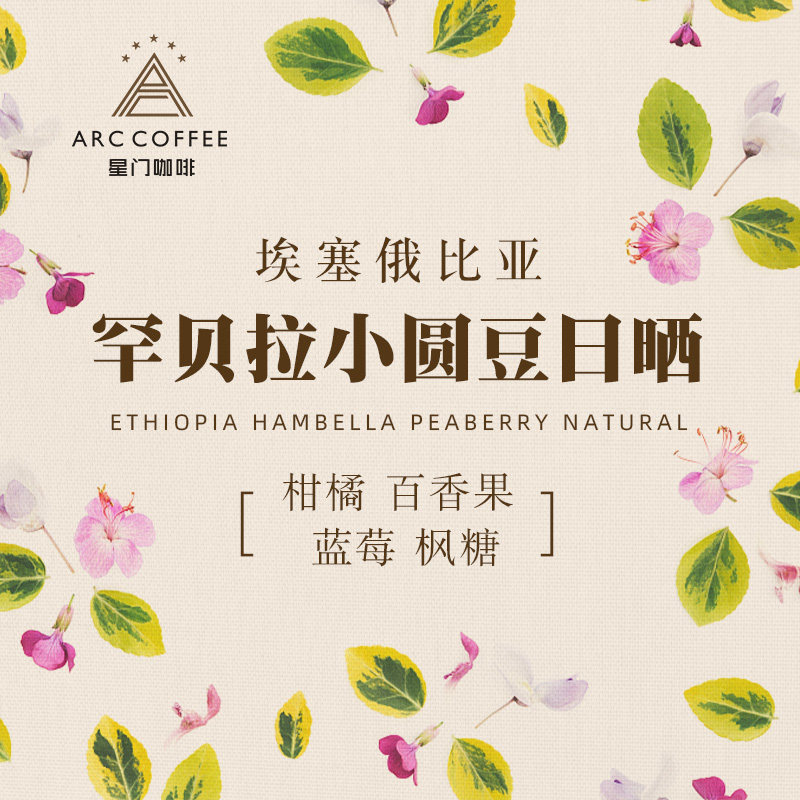 Stargate Ethiopia Hambela small round beans sun-dried boutique fresh baked single hand-made coffee beans 227g