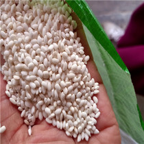 Wenzhou local fragrant glutinous rice-wrapped rice dumplings glutinous rice new rice 2500g five kilograms