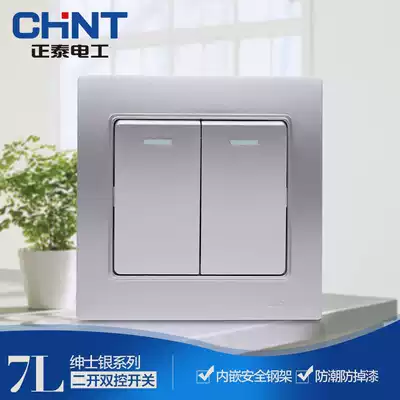 Zhengtai switch socket light switch steel frame NEW7L gentleman silver two-open double-cut switch