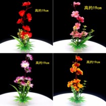 Hotel dishes sushi snacks creative decoration cold dishes decoration simulation of flowers and plants Western food sashimi