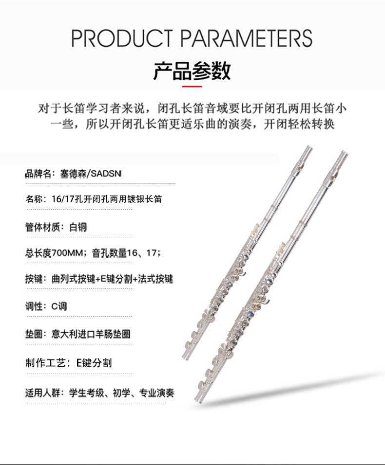 Sáo sáo 16 17 lỗ mở và đóng lỗ Dụng cụ sáo kép sử dụng C màu trắng đồng mạ bạc thử nghiệm cho người mới bắt đầu - Nhạc cụ phương Tây vĩ cầm