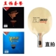 Bắc Kinh Hàng không vũ trụ Ping Pong Vợt