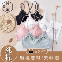 Lace sexy back suspender bra small chest push up padded breast anti-collision wireless underwear girl