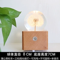 Ночник, музыкальная музыкальная шкатулка, подарок на день рождения