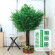 Simulated Banyan Tree, Artificial Large Plant, Hotel Mall Wedding Props, Wishing Tree, Landscape Tree, Window Decoration