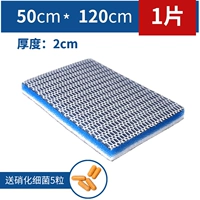 Модернизированная версия, 50×120см, 1 штук