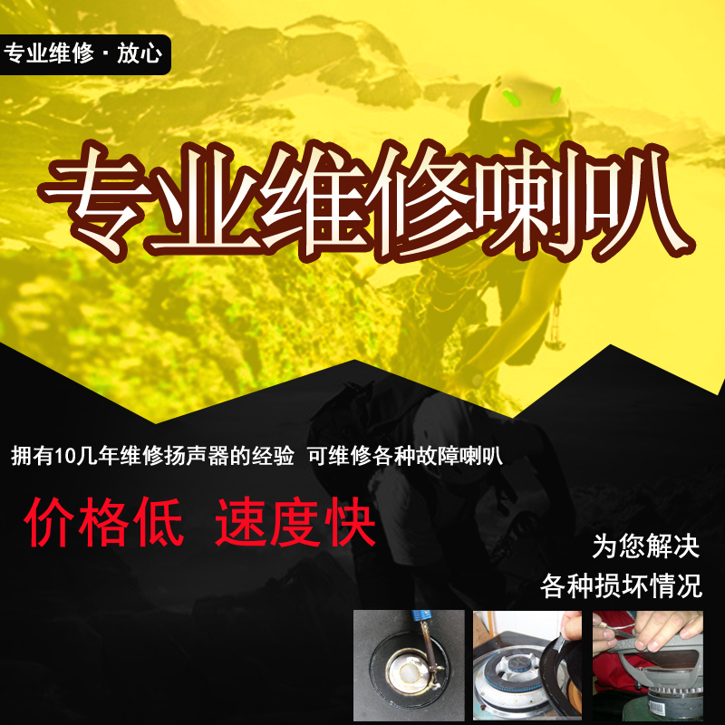 Various Sizes Bass Soprano Trumpeter Speaker Professional Repairs Wheevehorn Sound Repair Service