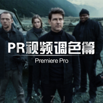 PR video colorization