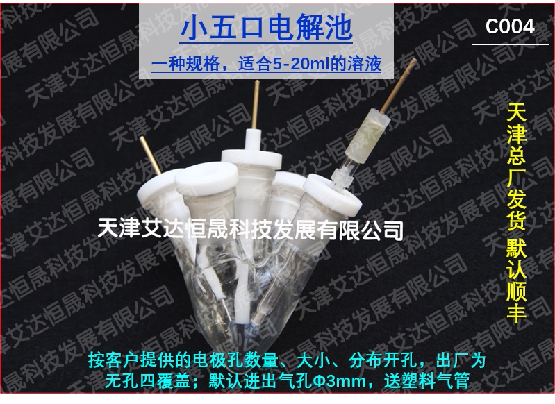 T 天津艾达恒晟 小五口电解池 C004 5-20ml适用 原厂直接发货