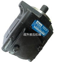 Denison oil pump T6EDC-042-003-1R00-C100 T6C-025-1L03 1R001R02-B1