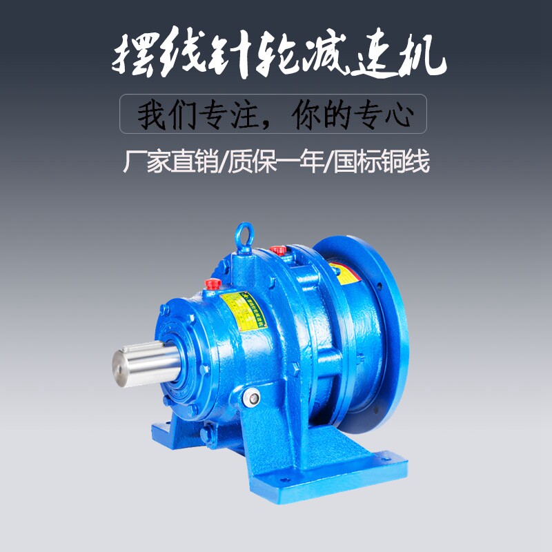 Horizontal cycloid pin wheel reducer BWD1 XWD3-9 11 17 23 29 35 43 59 71-1 5KW