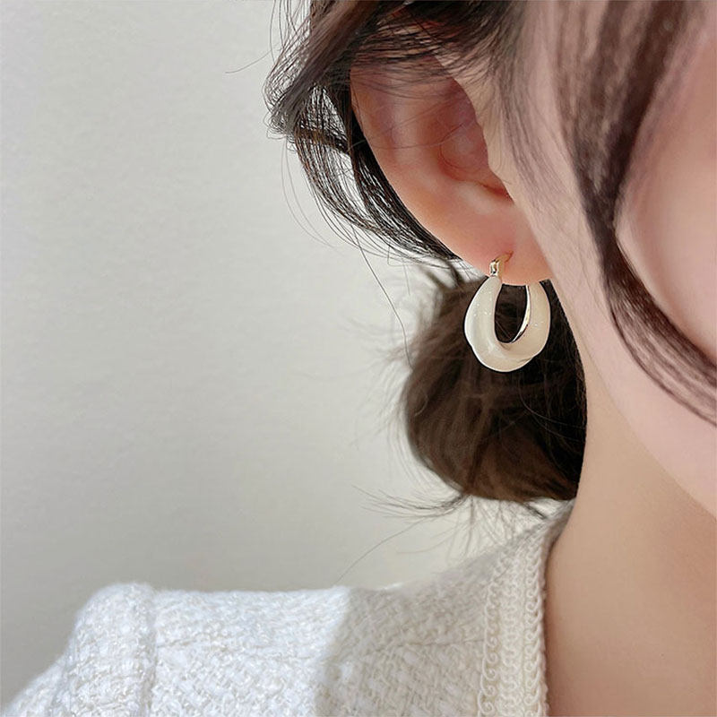 Korean earrings niche design sense high-end light luxury women's 2021 new trendy fashion all-match temperament celebrity ear buckles