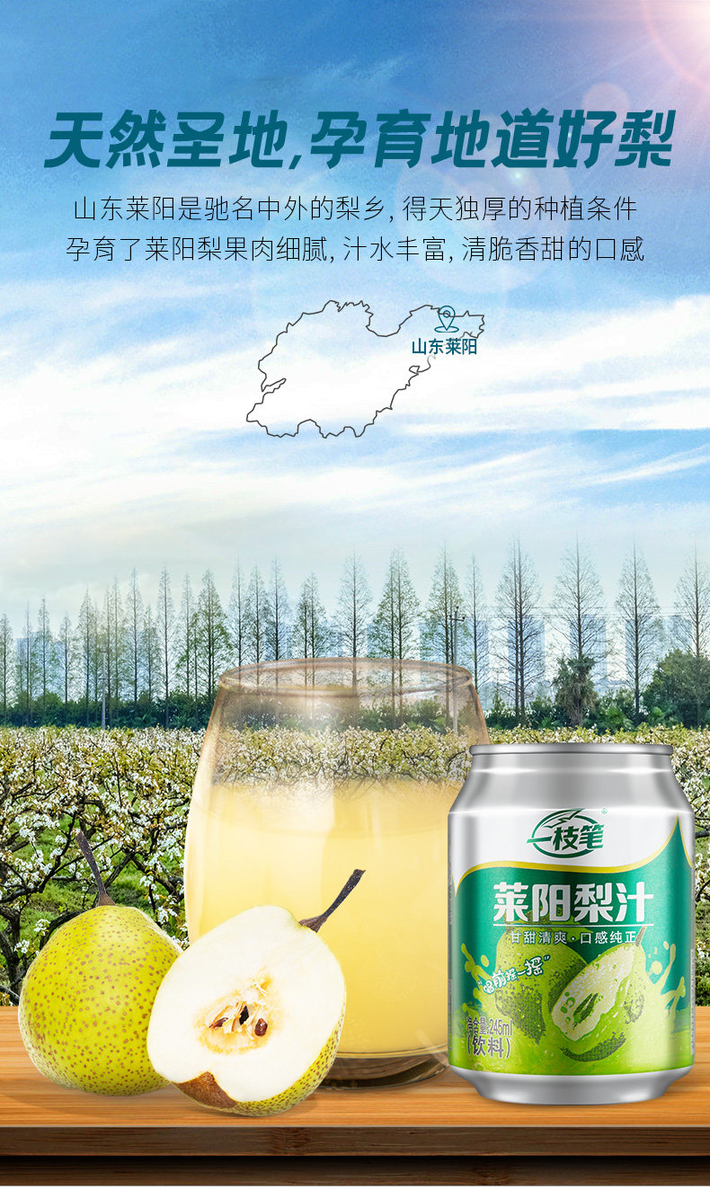 CCTV星光大道指定饮品 一枝笔 莱阳梨汁/芒果汁245mLx20罐 券后64.8元包邮 值值值-买手聚集的地方