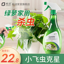 Small black fly insecticide to kill Green divinity summer small flying insects flower plants indoor flowers home soil killing artifact