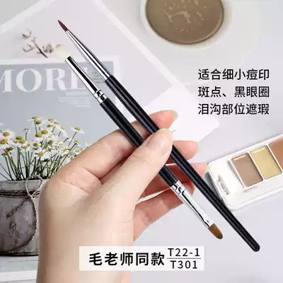 Teacher Mao with T22 fine concealer brush T301 double head sponge spot brush dark eye eyeliner brush tear groove brush