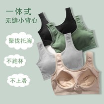 Underwear Schoolgirl Korean version Vest Woman Inside Wear Sports Underwear Anti-Sagging Shockproof Yoga Suit With Chest Cushion No Steel Ring