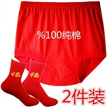 Middle aged Ben life year Great red underpants socks male and female pure cotton medium-high waist easy to marry Heqing Triangle pants head