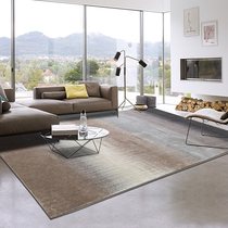 Modern minimalist Nordic Living room Carpet rectangular Jane Eau style Tea Blanket Bedroom Bedside Home American Light Lavish