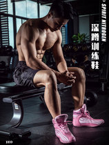 Haili professional comprehensive training gym squat mens boxing shoes deadlift powerlifting indoor womens squat shoes