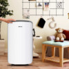 Airplus Dehumidifier Household Small Dehumidifier Negative Ion Bedroom Basement High-Power Dehumidification and Moisture Absorption Device