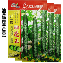 One leaf and one melon oil bright King cucumber seed Green meat old variety fruit cucumber seed spring and autumn Four Seasons sown vegetable seeds