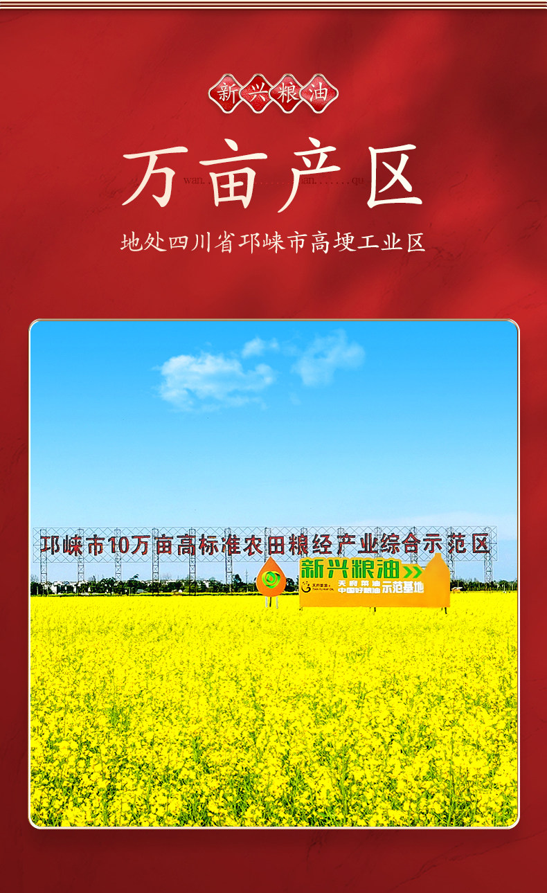 新兴粮油 浓香压榨 非转基因菜籽油 4.68L 图3